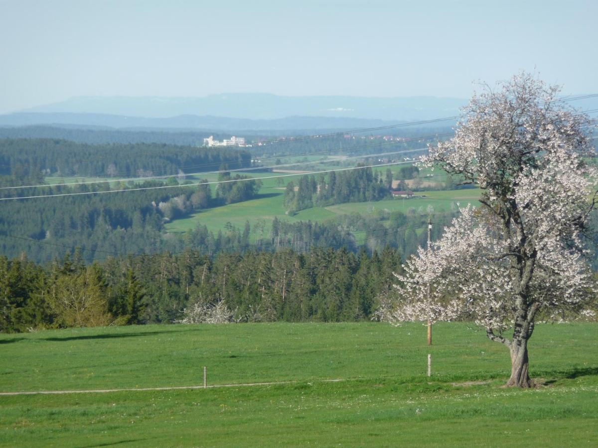 Hoehenpension Glashuette Bed&Breakfast Fruehstueckspension Hotel Garni Bonndorf im Schwarzwald Exterior foto